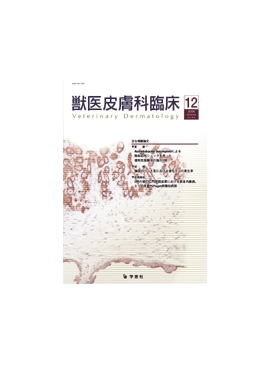 �������� �ð�������׾� 2008ǯ12���Vol.18 No.4
