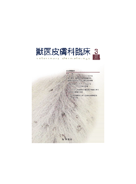 �������� �ð�������׾� 2009ǯ3���Vol.19 No.1