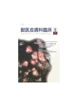 �������� �ð�������׾� 2009ǯ9���Vol.19 No.3