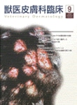  ð׾ 2009ǯ9Vol.19 No.3