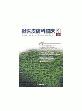 �������� �ð�������׾� 2010ǯ9���Vol.20 No.3