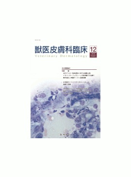  ð׾ 2010ǯ12Vol.20 No.4