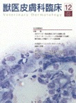  ð׾ 2010ǯ12Vol.20 No.4