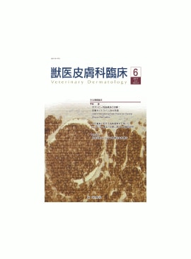  ð׾ 2011ǯ6Vol.21 No.2