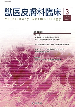 �������� �ð�������׾� 2012ǯ3���Vol.22 No.1
