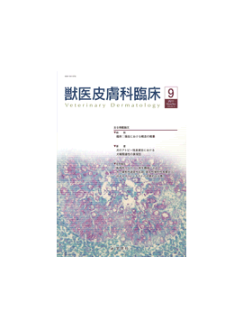  ð׾ 2011ǯ9Vol.21 No.3