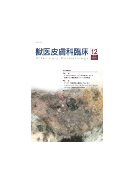 �������� �ð�������׾� 2011ǯ12���Vol.21 No.4