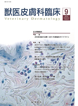�������� �ð�������׾� 2012ǯ9���Vol.22 No.3