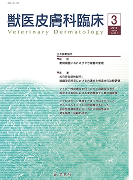 �������� �ð�������׾� 2013ǯ3���Vol.23 No.1