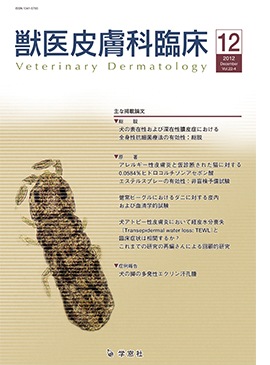 �������� �ð�������׾� 2012ǯ12���Vol.22 No.4