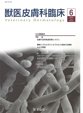 �������� �ð�������׾� 2013ǯ6���Vol.23 No.2