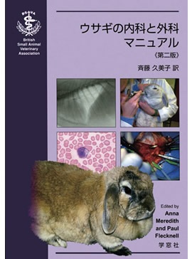 BSAVAʤȳʥޥ˥奢 ǡ