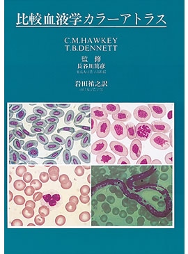 ��ӷ�ճإ��顼���ȥ饹