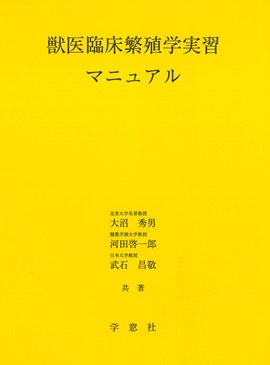 �ð��׾��˿��ؼ½��ޥ˥奢��