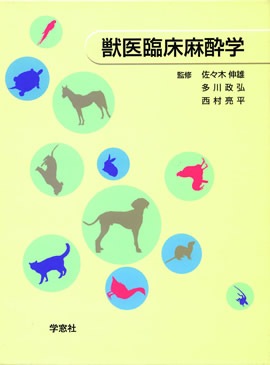 �ð��׾�����