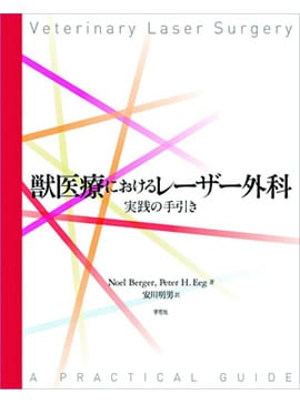 �ð��Ťˤ�����졼�������� �����μ����