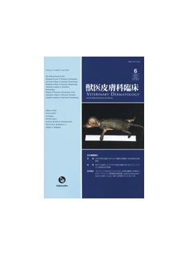 �������� �ð�������׾�2007ǯ6���Vol.16 No.4