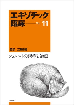 ���������å��׾����꡼�� Vol.11 �ե���åȤμ��¤ȼ���