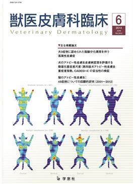 �������� �ð�������׾� 2014ǯ6���Vol.24 No.2