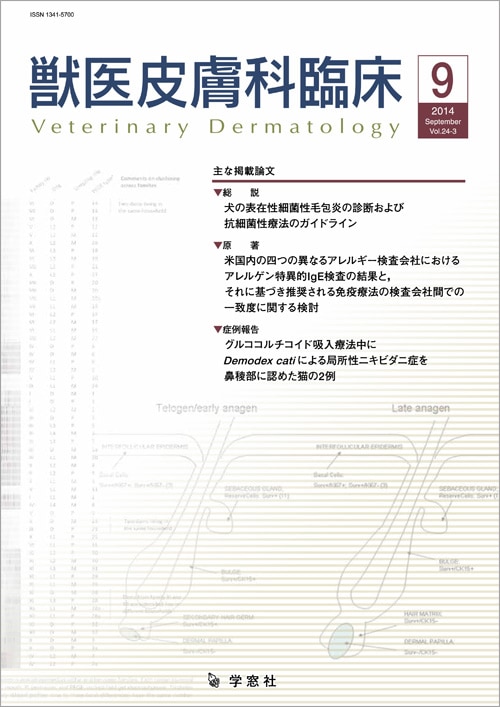 ������ �ð�������׾� 2014ǯ9���Vol.24 No.3