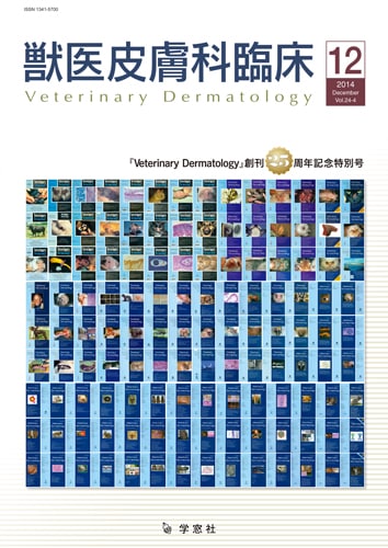 ������ �ð�������׾� 2014ǯ12���Vol.24 No.4