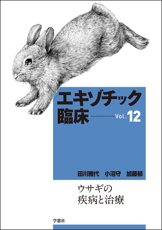 ���������å��׾����꡼�� Vol.12 �������μ��¤ȼ���