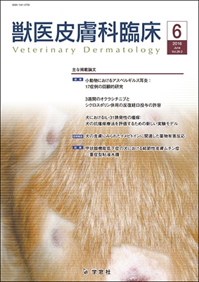 ������ �ð�������׾� 2016ǯ6���Vol.26 No.2