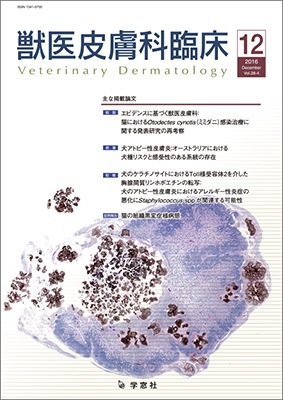 ������ �ð�������׾� 2016ǯ12���Vol.26 No.4