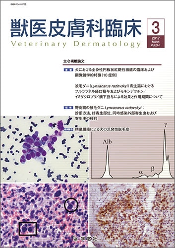 ������ �ð�������׾� 2017ǯ3���Vol.27 No.1