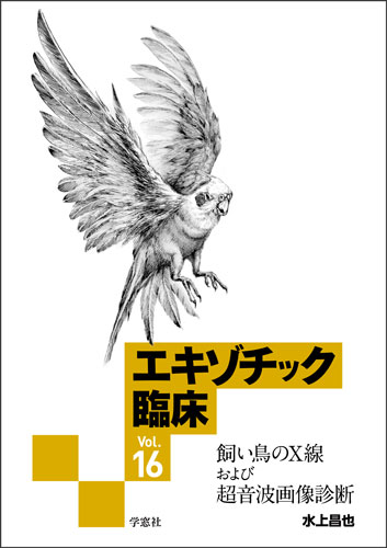 å׾꡼ Vol.16 ĻΣĶȲ DVD