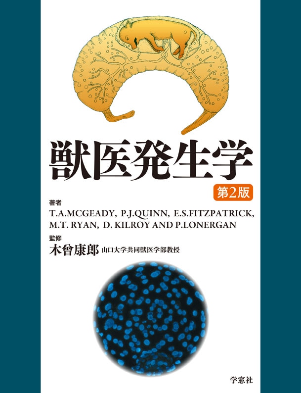 �ð�ȯ���ء���2��