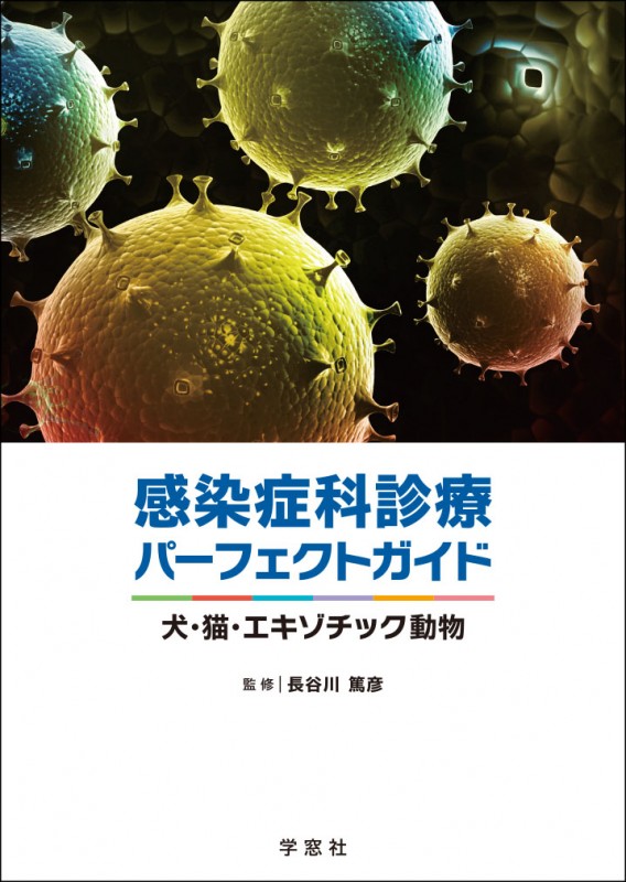 ɲʿťѡեȥɡǭåưʪ