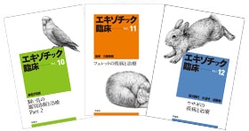 å׾꡼ Vol.10123åȡ