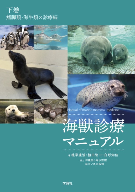 ���ÿ��ťޥ˥奢�롡�������ɵ��ࡦ������ο�����