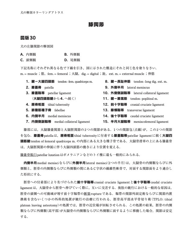 犬の解剖カラーリングアトラス | 基礎獣医学,解剖・組織学 | 株式会社