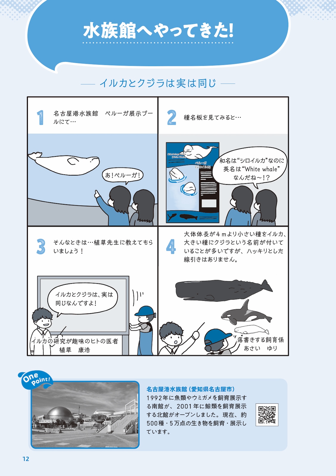 イルカの時間 イラストと科学で巡る旅 | すべての商品 | 株式会社学窓社