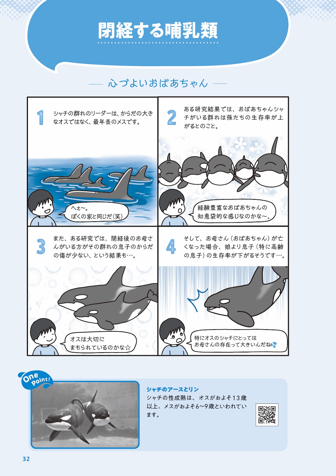 イルカの時間 イラストと科学で巡る旅 | すべての商品 | 株式会社学窓社