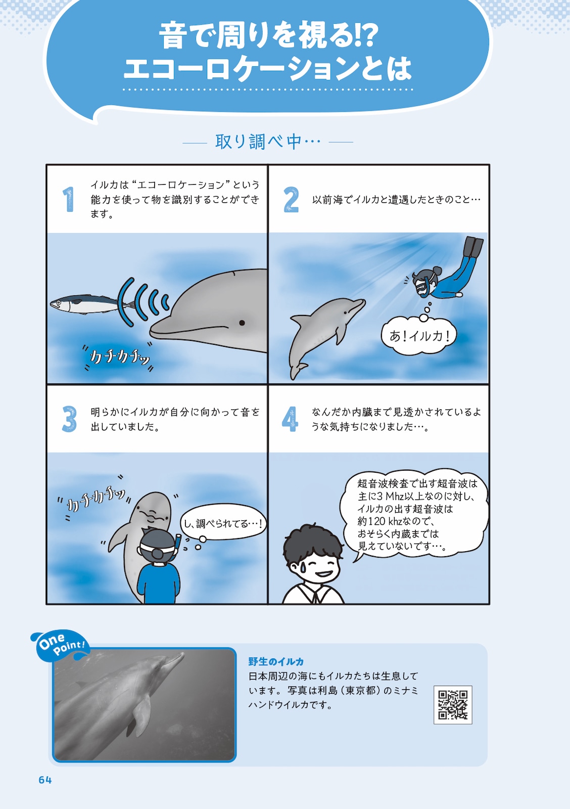 イルカの時間 イラストと科学で巡る旅 | すべての商品 | 株式会社学窓社