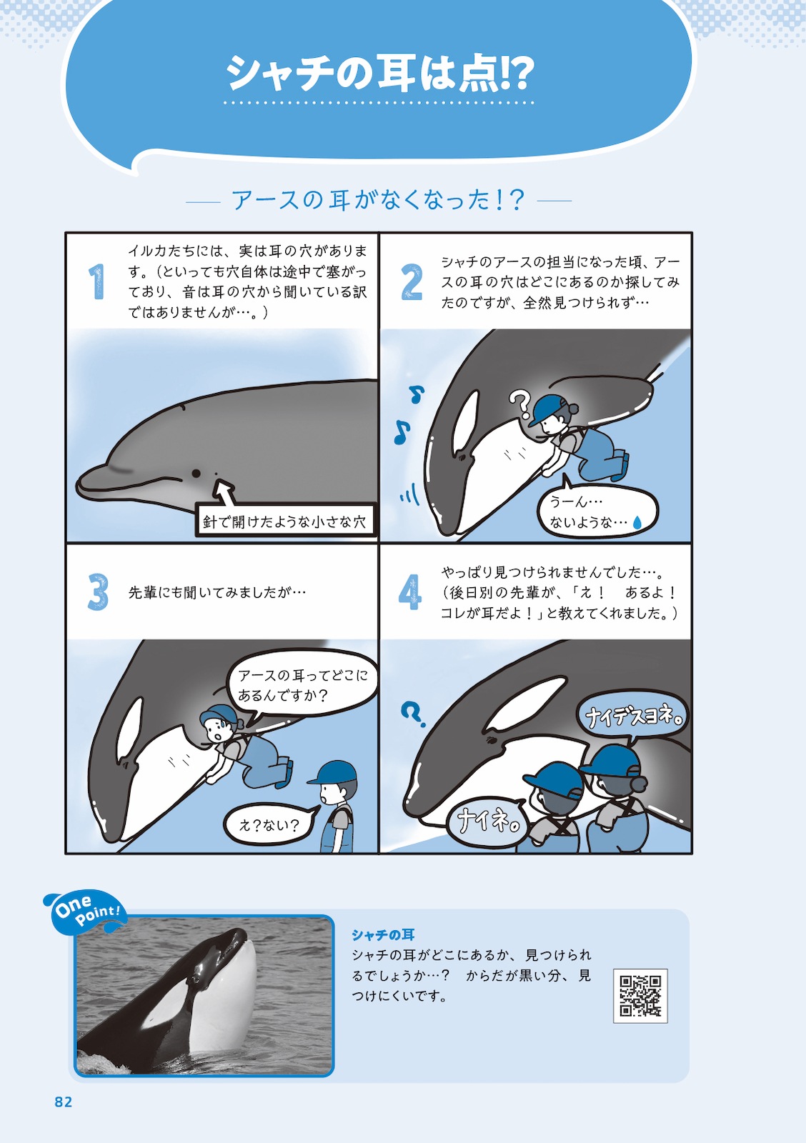 イルカの時間 イラストと科学で巡る旅 | すべての商品 | 株式会社学窓社