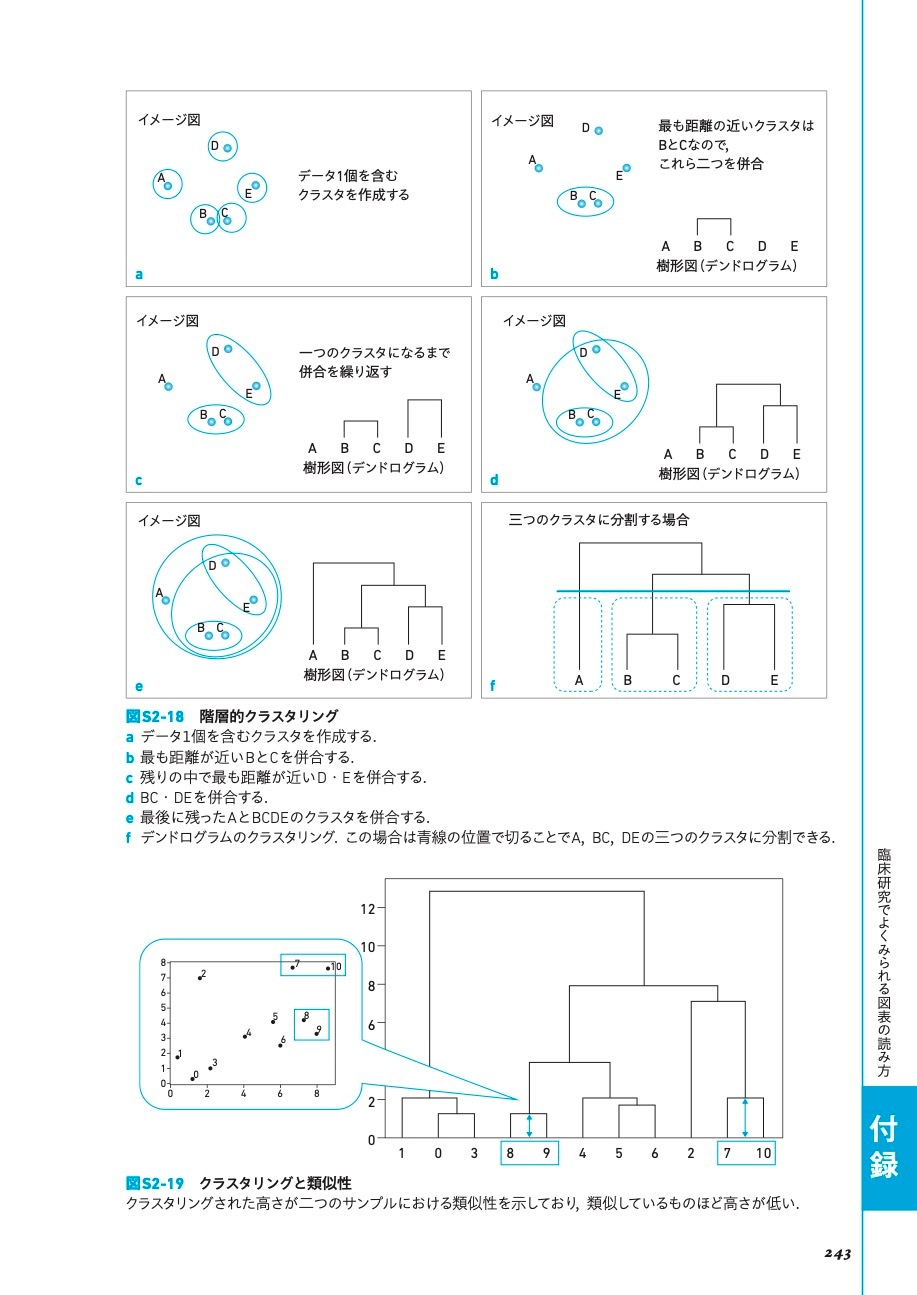 小動物臨床研究大全 エビデンスを「使う」から「創る」へ | 臨床獣医学