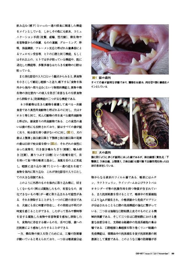 小動物外科専門誌 SURGEON 126号(2017/11月号) [雑誌] 小動物外科専門誌 SURGEON 126号(2017/11月号) [雑誌] SURGEON