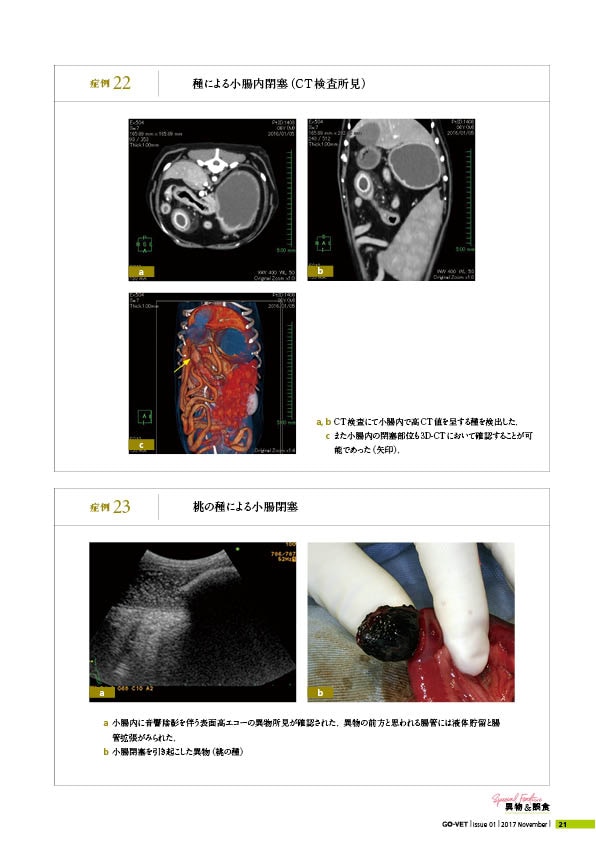 小動物外科専門誌 SURGEON 126号(2017/11月号) [雑誌] 小動物外科専門誌 SURGEON 126号(2017/11月号) [雑誌] SURGEON