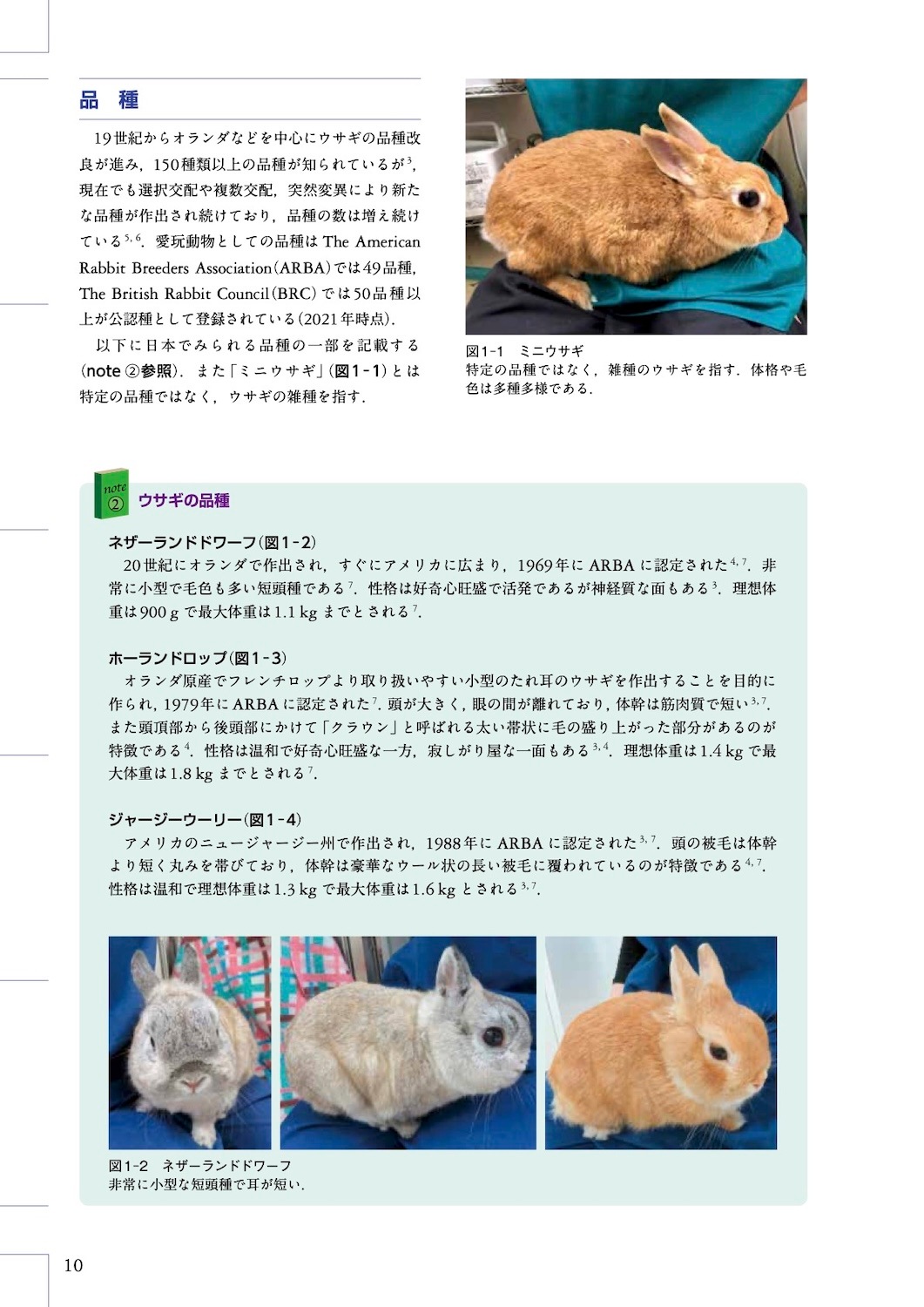エキゾチック臨床シリーズ Vol.20 ウサギの診療 | エキゾチック臨床
