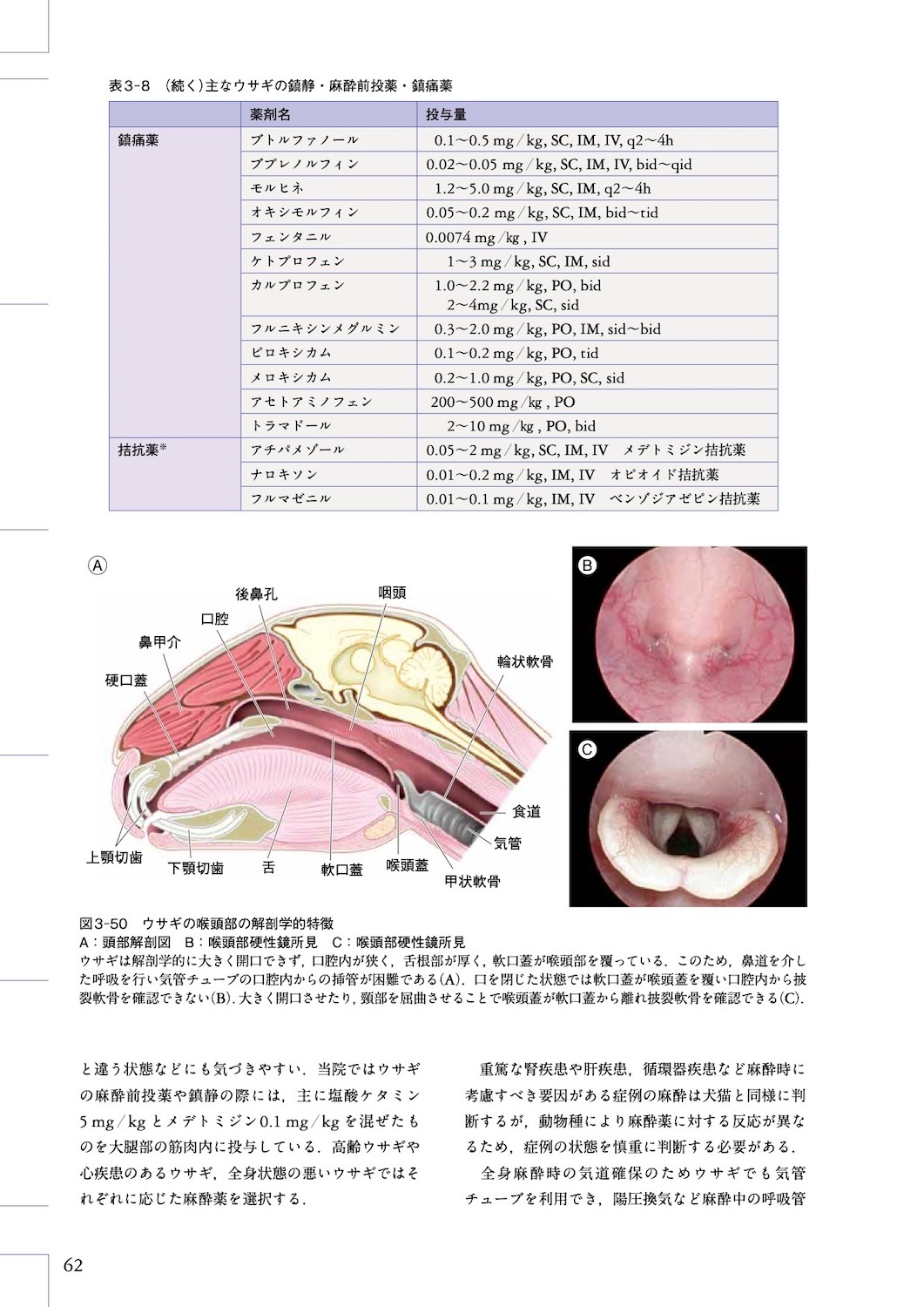 うさぎの診療 インフォメーションシート エキゾチック臨床シリーズ Vol.20 ウサギの診療 | エキゾチック臨床