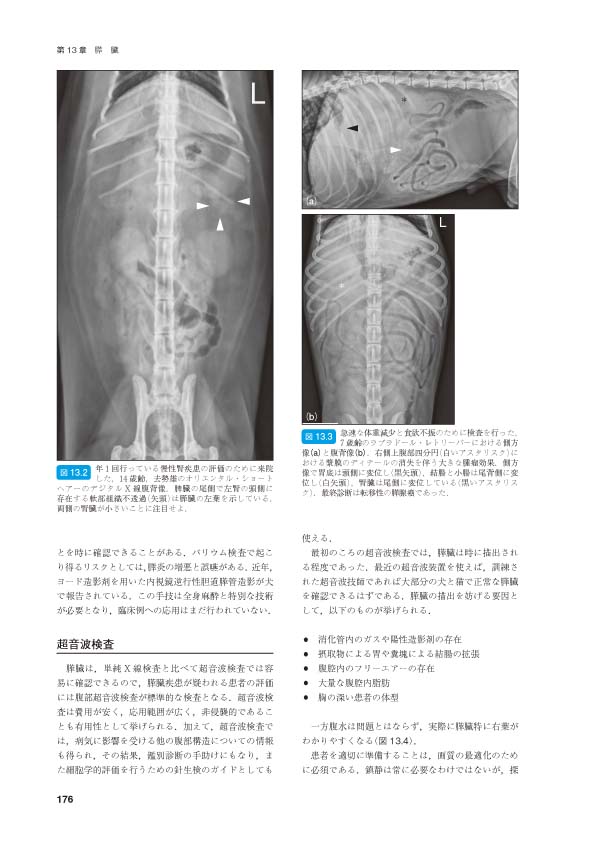 BSAVA 犬と猫の内視鏡検査と内視鏡手術マニュアル 獣医 専門 書籍