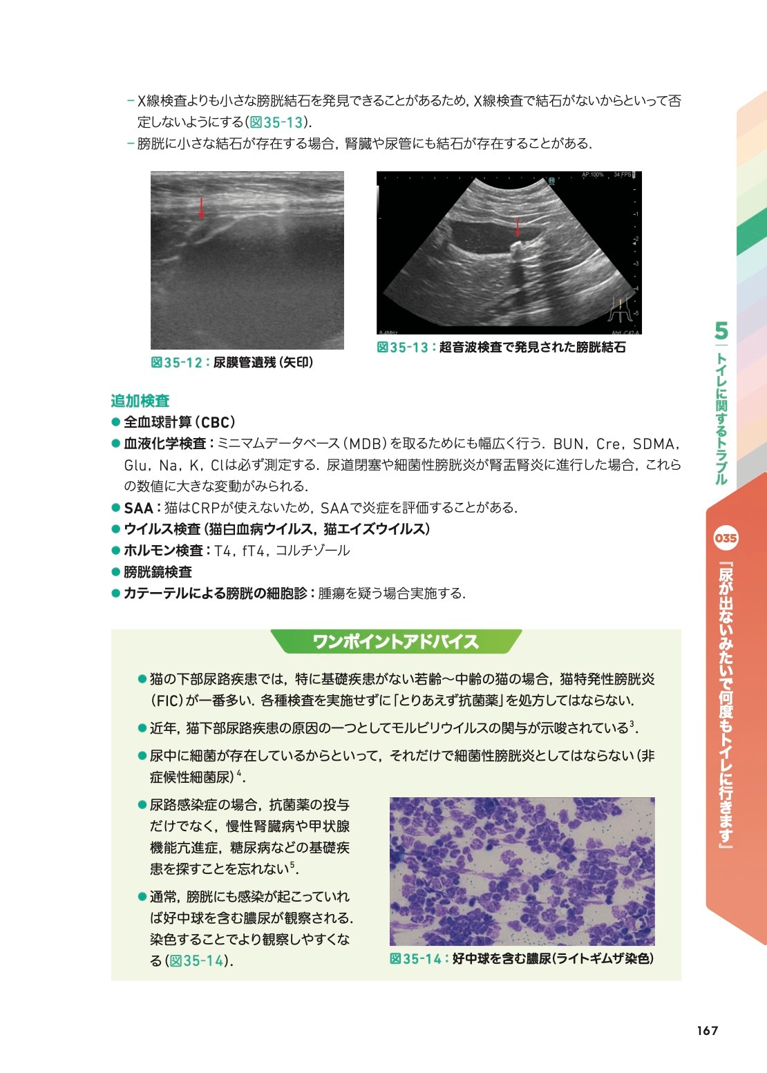こう考える！ 猫の主訴100から紐解く診療ハンドブック | 臨床獣医学