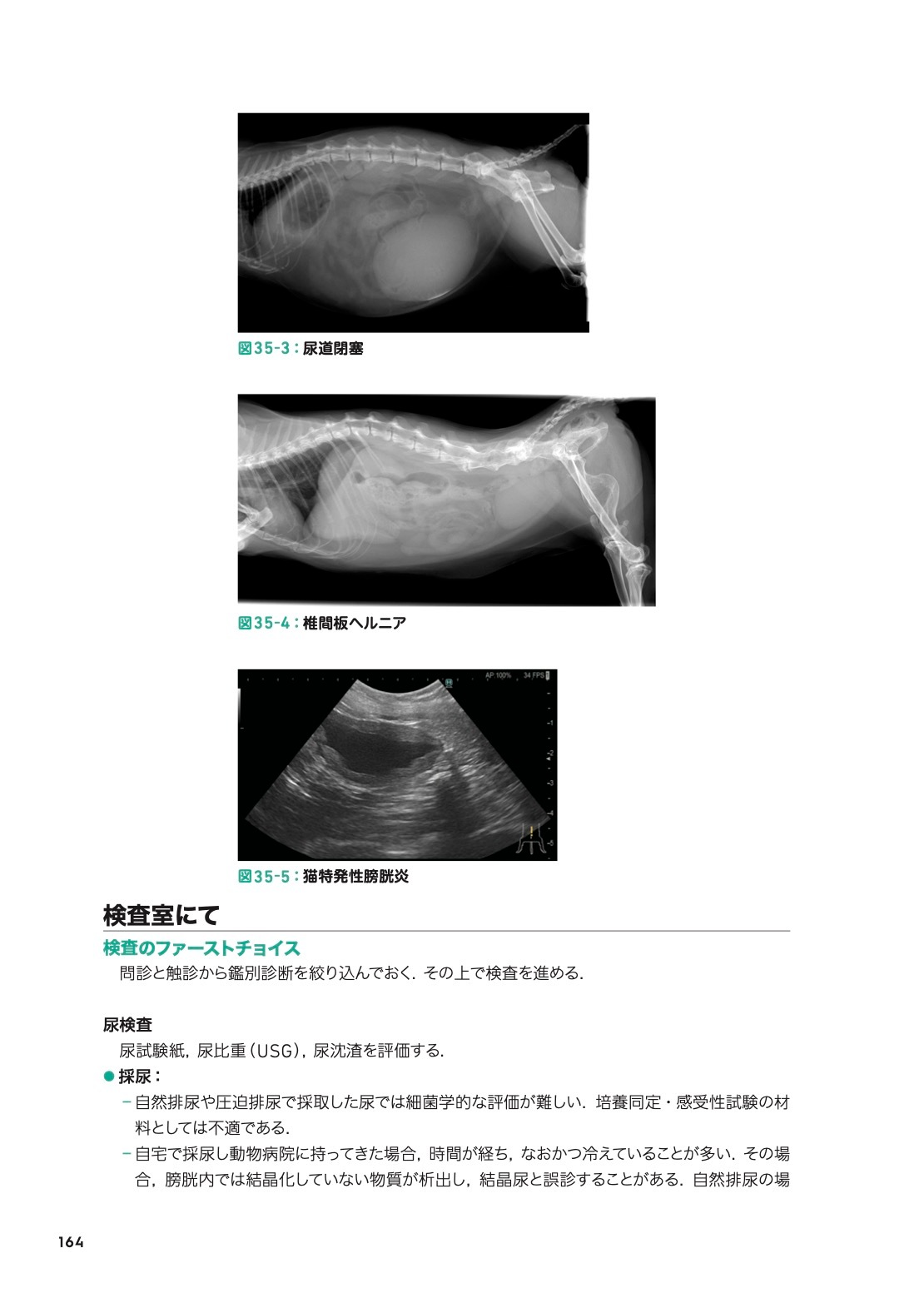 こう考える！ 猫の主訴100から紐解く診療ハンドブック | 臨床獣医学