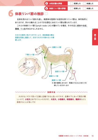 アニフル (anifull) 保定のできる犬型医療シミュレーター しばわん