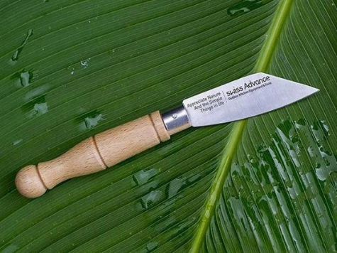 折りたたみ ペニーナイフ 「JACK Penny Knife」