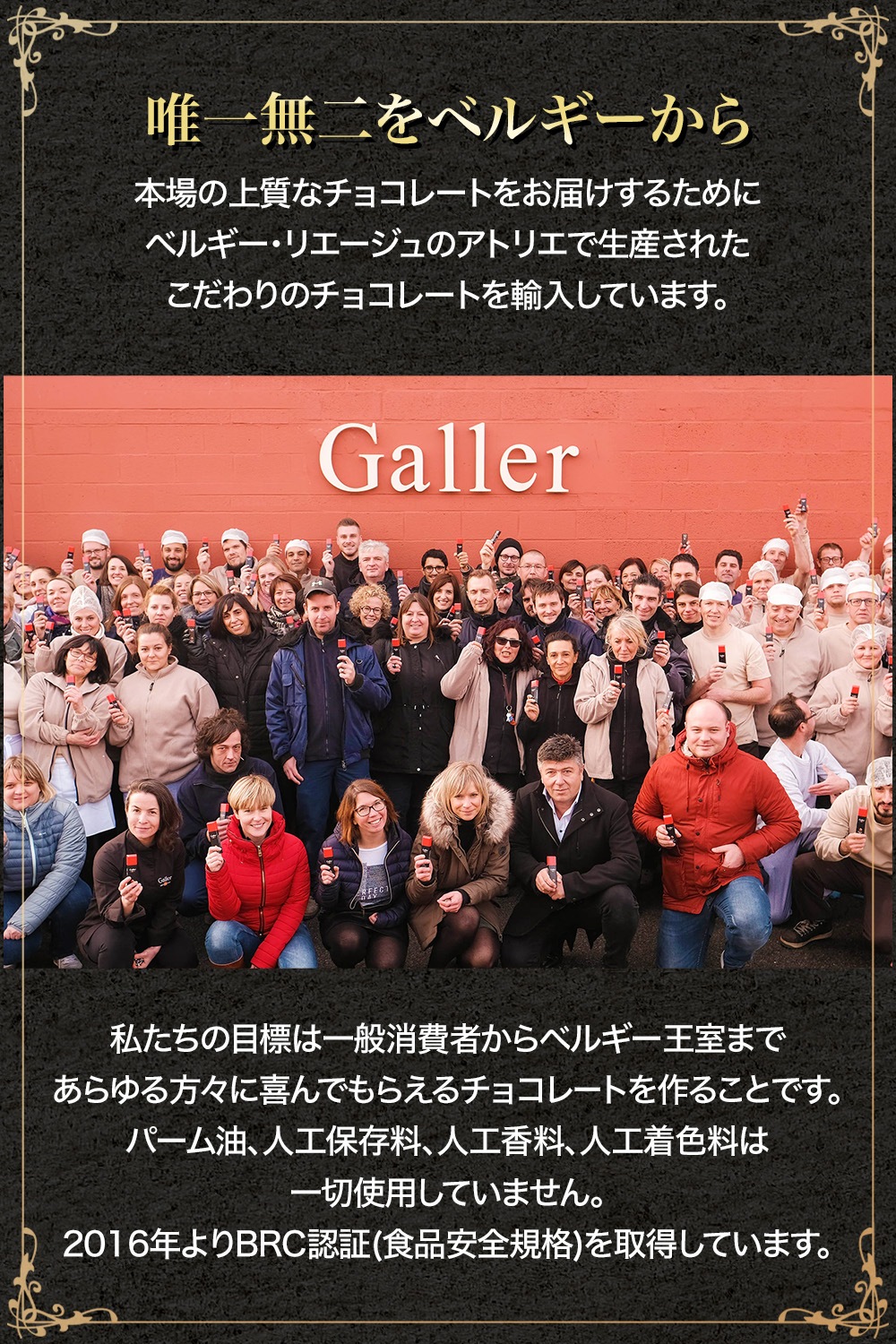 Galler 졼 ߥ˥С 24 ٥륮ã祳졼